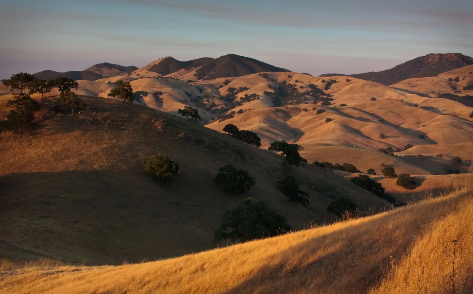 Golden dry California hills at sunset above North County San Diego.