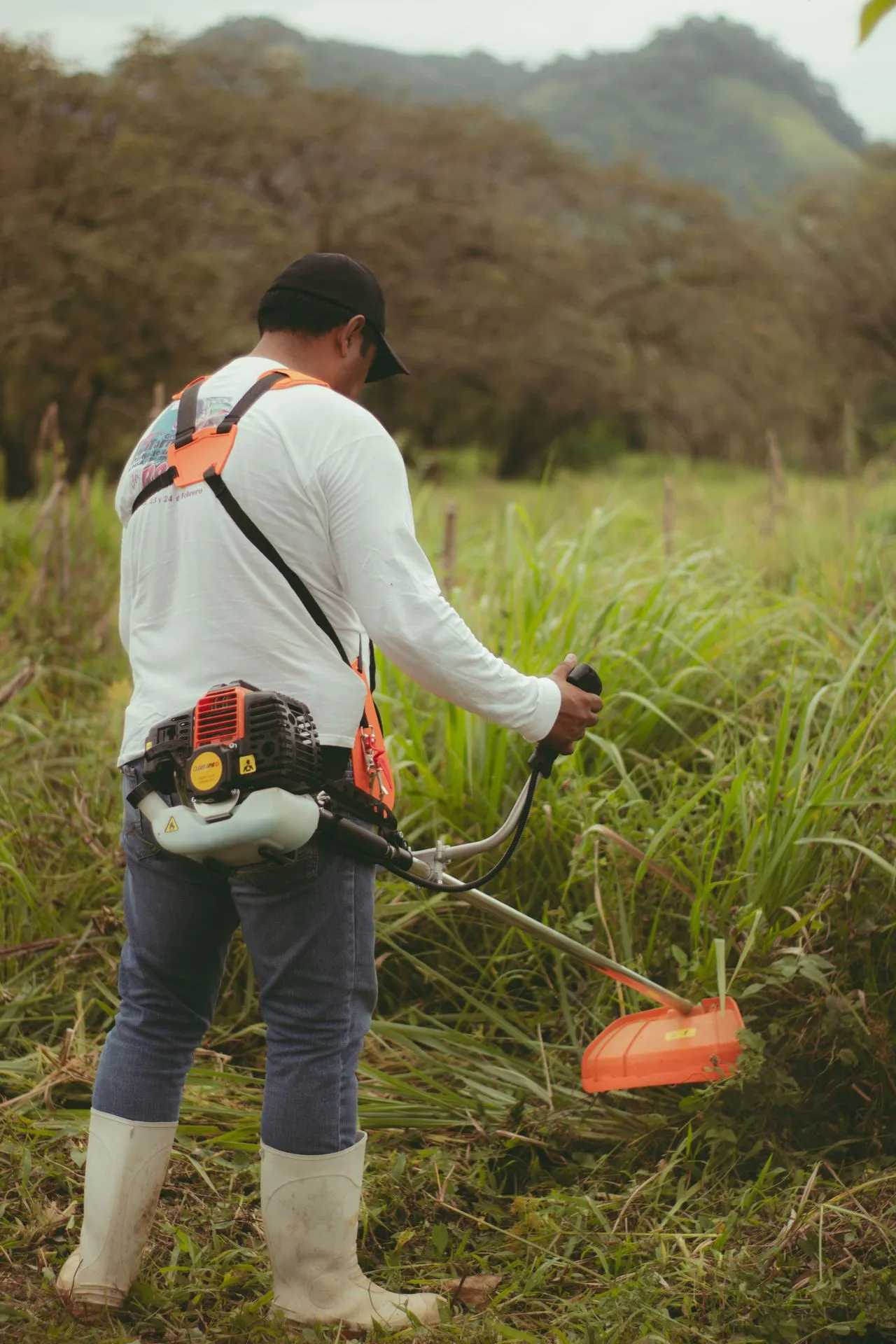 Worker clearing dry overgrown brush in a sunny field