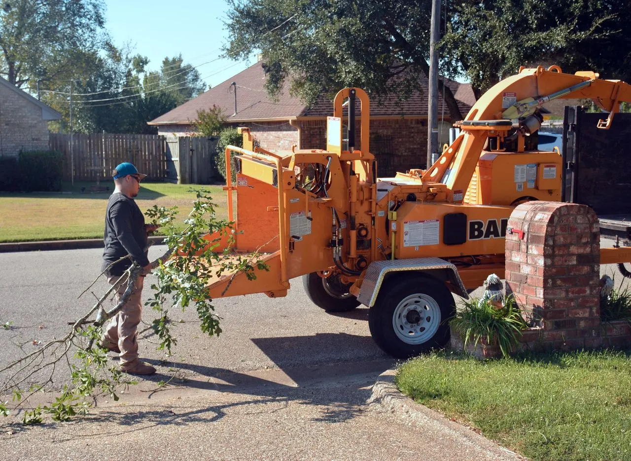 A wood chipper processing cut branches outdoors