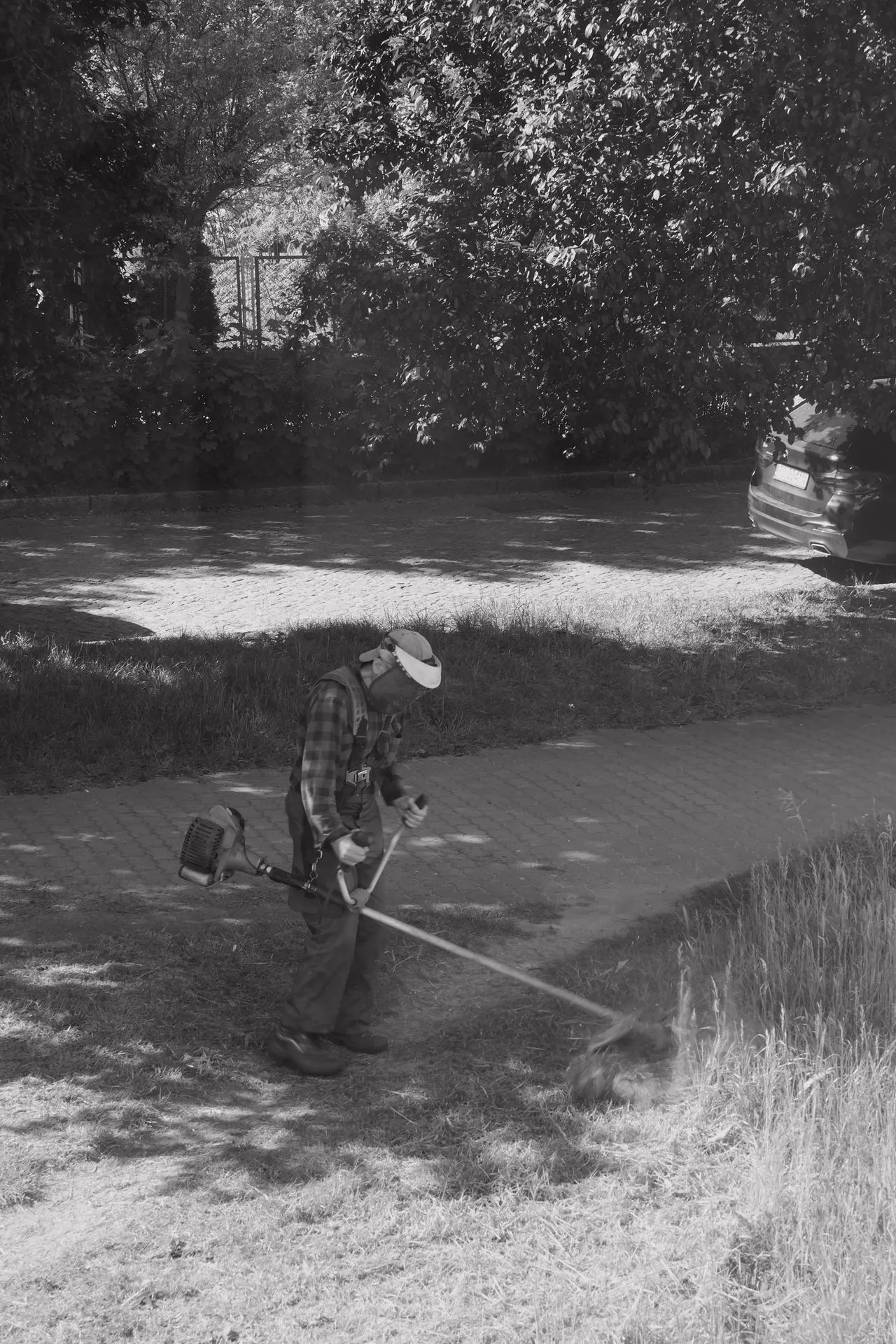 A worker cutting down tall dry weeds with a string trimmer